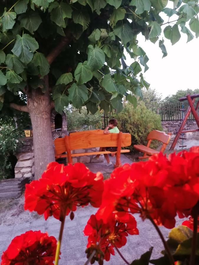Szentesi Panzio Bed & Breakfast Fertőrákos Екстериор снимка