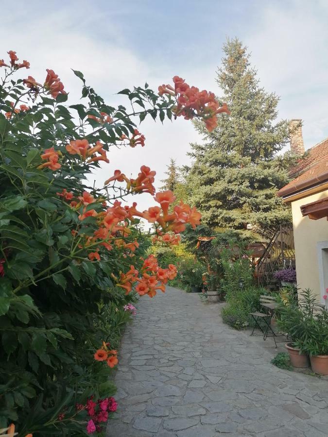 Szentesi Panzio Bed & Breakfast Fertőrákos Екстериор снимка