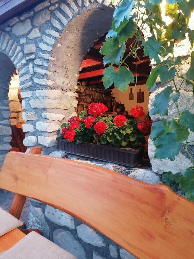 Szentesi Panzio Bed & Breakfast Fertőrákos Екстериор снимка