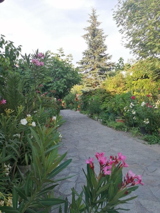 Szentesi Panzio Bed & Breakfast Fertőrákos Екстериор снимка