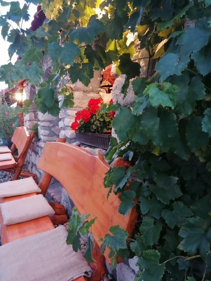 Szentesi Panzio Bed & Breakfast Fertőrákos Екстериор снимка