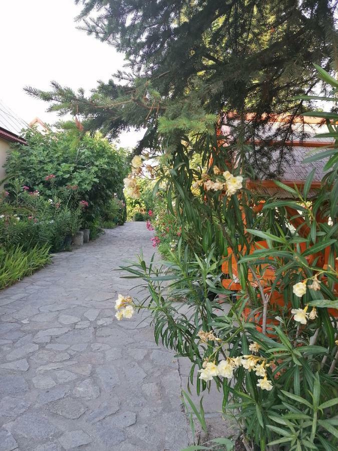 Szentesi Panzio Bed & Breakfast Fertőrákos Екстериор снимка